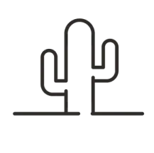 options-image
